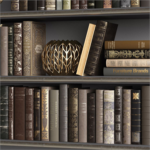 Classic Books 04